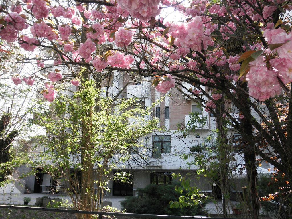 Park Hotel Кастрокаро-Терме Экстерьер фото
